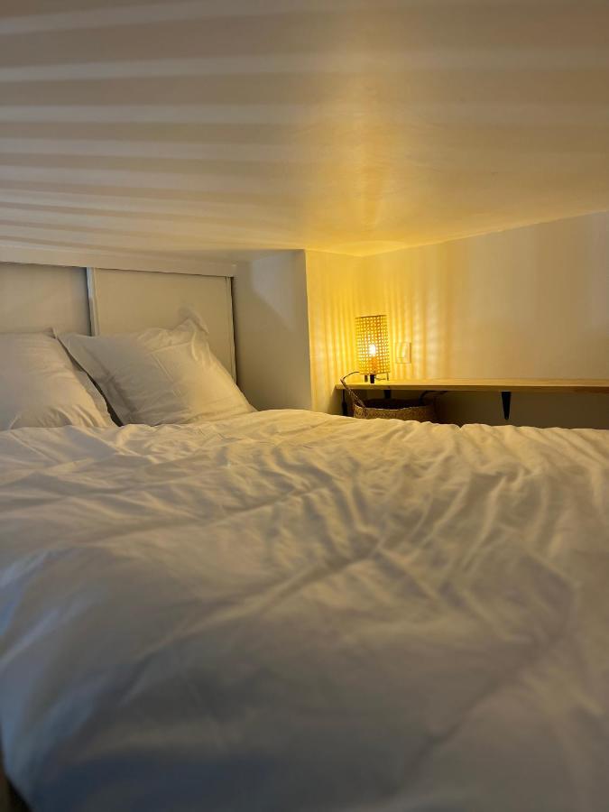 Apartment Le Nid Douillet - Hypercentre - A 2 Pas De La Gare *